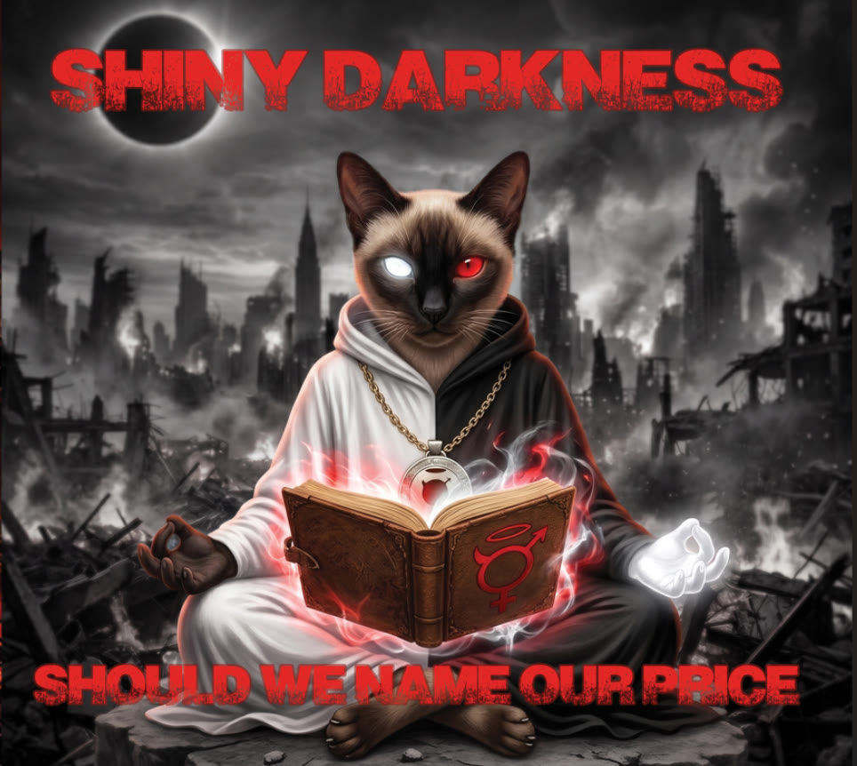 Shiny Darkness — Mega Speech (pochette de l'album)